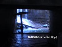 Kozubnik final