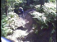 Labyrinth, Swinley Forest - UNEDITED