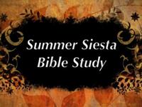 Siesta Summer Bible Study (Weeks 5 and 6)