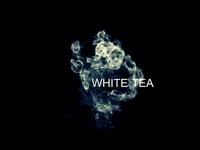 WHITE TEA