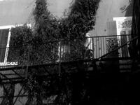 MG400 Trailer 1