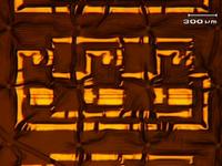 Stretchy Silicon Circuits