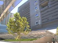 San Francisco Federal Building