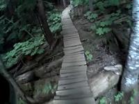Devil's Club (Whistler MTB)