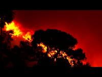 Tea / Las Alturas Fire, Santa Barbara California