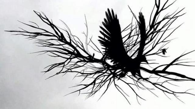 Thumbnail of video MTV HD Crow