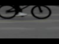 Fluere in Autumnum - Michael Sommer video 2008