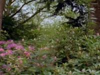 Nature [Time-Lapse] - Numaga - HD