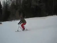 diy SKI BIKE 2009 Fixator R.R.B.C.