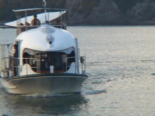 The Fight to Save Taiji Dolphins The Fight to Save Taiji Dolphins