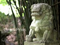 Swiss Pines Japanese Garden