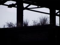 DCNSTRCT