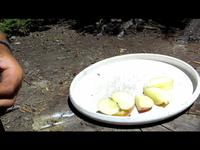 Backcountry Kitchen