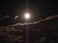 Sleep, noche de verano