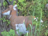 Blackbrook outdoors