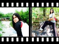 Wedding Montage
