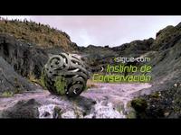 señalcolombia bumper1