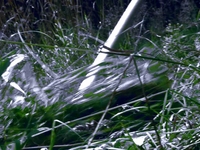 Brigáda 2009