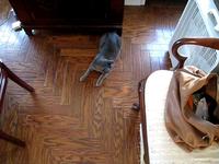 Madison and the Magical Spot