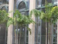 Longwood Gardens in Summer
