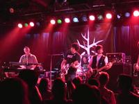 Turn (Live at Slim's)