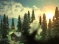 DIMENIUM REEL 2009