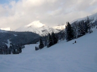 Riding the powder on Boutry's Bowl at Sunshine Village