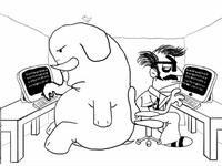 The Elephant in the Room