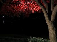 Lighting products & creative shots