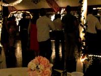 The younger crowd dancing at the reception