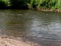 West Part IV