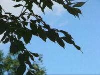 09.07 - Clip : Sentier des Sourires