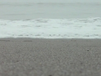 Beachwaves