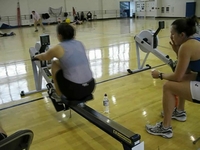 Hammer Ergatta
