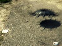 UFO: 3d Tracking Test
