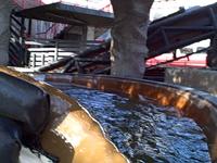 Whitaker family on the log flume