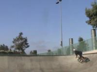 nose dive 3