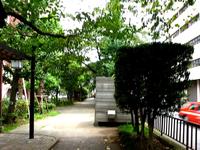 東京都の夏の蝉