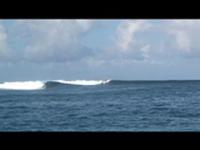 Indo Swell Journal