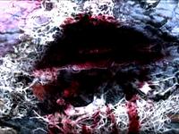 Clampdown - Vision of Splendor - Album Trailer