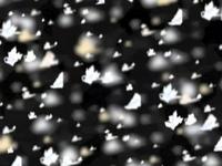 Kitty Scratch of Death VJ Demo #2