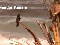 Kassia Meador on Vimeo 動画を見る