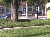 John Schmidt's Know Rollerblading DVD remix edit by ALF

check for genre 2 soon. Schmidts been workin hard on that for 2 years. its incredible.

www.knowrollerblading.com/blog