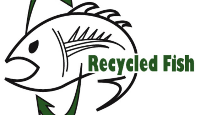 Recycled Fish Sizzle