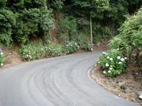 Rally Vinho Madeira