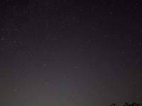 Perseid Meteor Shower 2009