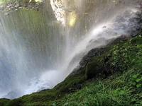 Silver Falls 5