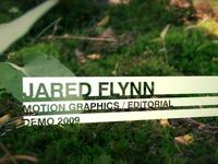 Jared Flynn - Animation Demo 2009