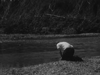 Burn Me Up: The Story of Jim Younger