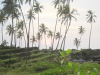 Goa